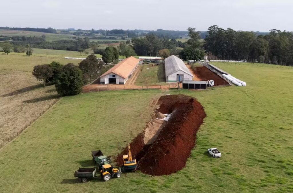 Una excavadora abre espacio para enterrar las aves sacrificadas en una granja de Montenegro, en Río Grande do Sul, debido al foco de gripe aviar identificado allí — Foto: Silvio Avila/AFP