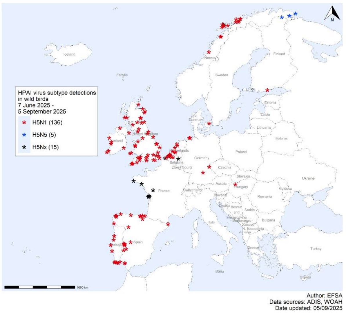Distribución basada en las geocoordenadas disponibles, de las detecciones del virus de IAAP (influenza aviar altamente patógena)  en aves silvestres (156) , reportadas por subtipo de virus en Europa desde el 7 de junio al 5 de septiembre de 2025. Fuente: EFSA