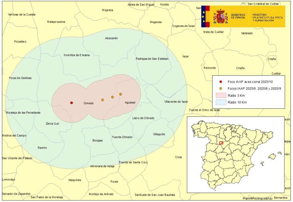 Localización del nuevo foco de IAAP en aves de corral del 6 octubre 2025 en la provincia de Valladolid,
detectado en la zona de vigilancia de los anteriores focos (nº 2025/6, 2025/8 y 2025/9).