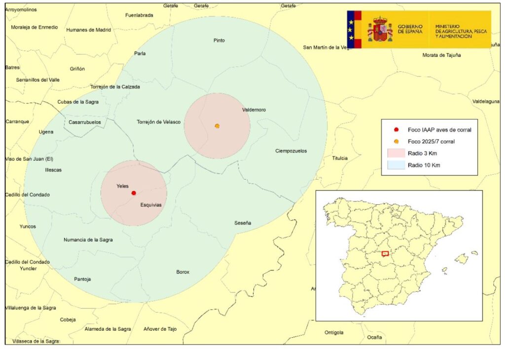 Localización del 13º foco de IAAP en aves de corral de 2025. La granja de 112.000 ponedoras afectada esta en Yeles, provincia de Toledo,
en el límite de
la zona de vigilancia del foco nº 7 confirmado el 1 de octubre en el municipio de Valdemoro
(comarca de Aranjuez, provincia de Madrid).